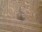 Egcomob2_2