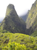 Hamau2